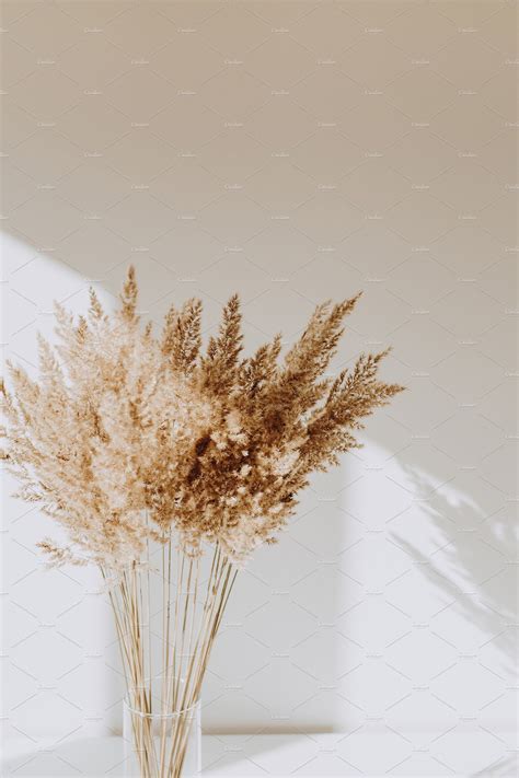 Aesthetic Dried Flowers Desktop Wallpaper Download Fr - vrogue.co