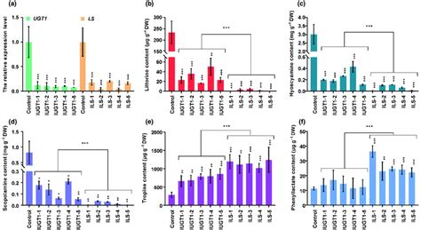 Effects of UGT1/LS suppression on the biosynthesis of tropane alkaloids... | Download Scientific ...