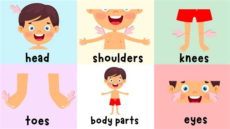 Printable Head Shoulders Knees And Toes