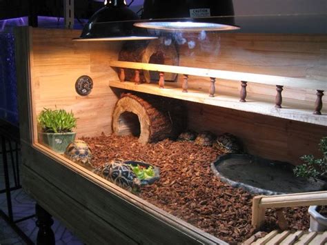 russian tortoise cages | Russian tortoise cage - I love this one! | Tortoise cage, Tortoise ...