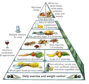 Harvard_food_pyramid - Mental Health Food