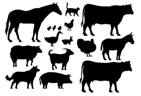 Farm Animals Silhouette Images – Browse 203,049 Stock Photos, Vectors, and Video | Adobe Stock