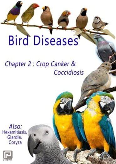 Bird Diseases: Chapter 2 Crop Canker & Coccidiosis - Bird Diseases (ebook), Andrea Els | ISBN ...