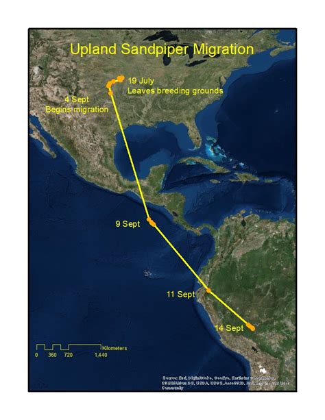 Live Updates: Tracking Upland Sandpiper Trans-hemispheric Migration | Vermont Center for Ecostudies