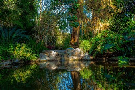 Pond Peaceful Nature - Free photo on Pixabay - Pixabay