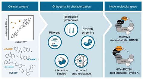 Graphical Abstract - Nature Ch [IMAGE] | EurekAlert! Science News Releases