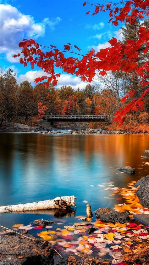 Download Nature Phone Bridge Autumn Wallpaper | Wallpapers.com