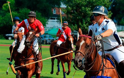 Equestrian Sports and Games: Polo | Ampascachi