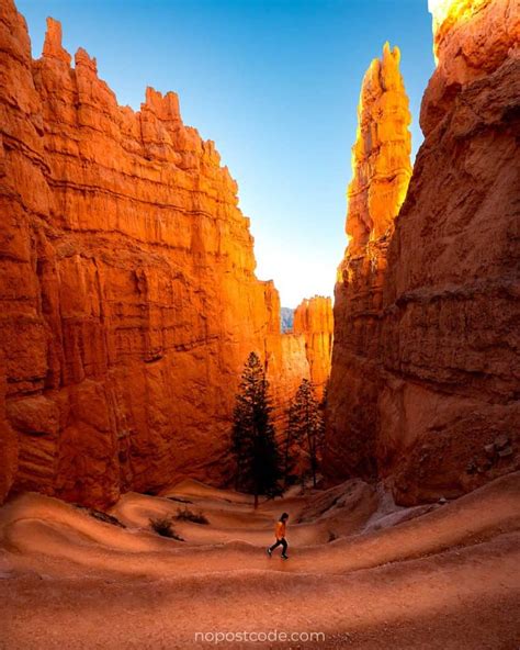 HIKING AT BRYCE CANYON (2022) - Epic Navajo Loop Trail