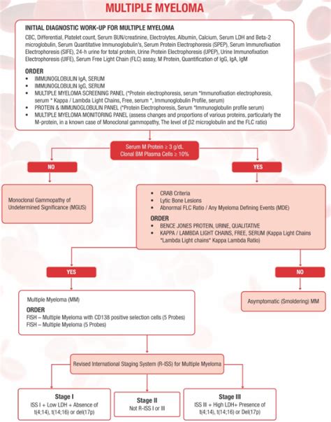 An Overview of Multiple Myeloma Test - Dr Lal PathLabs Blog