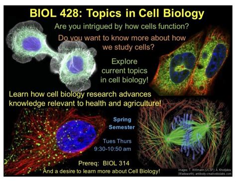 Topics in Cell Biology offered Spring 2020 | Undergraduate Biology Program