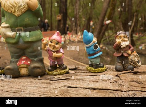 Gnomesville before the Great Gnomesville Flood of 2018 Stock Photo - Alamy