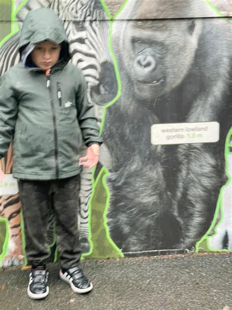 Belfast Zoo August 2021 - SNAP