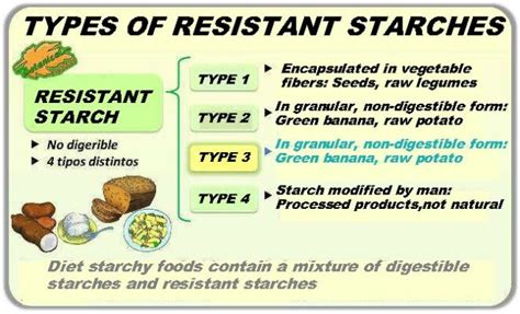 Resistant starch characteristics – Botanical online