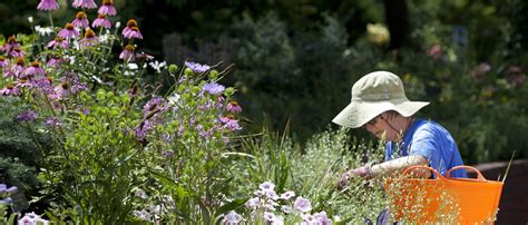 Volunteer - Smithsonian Gardens