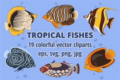 Tropical Fish Cliparts By YuralsArt | TheHungryJPEG