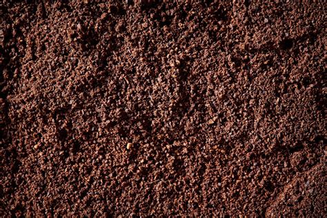 What To Know About Loam Soil for Your Garden | The Family Handyman