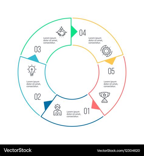 Circular chart diagram with 5 steps options Vector Image