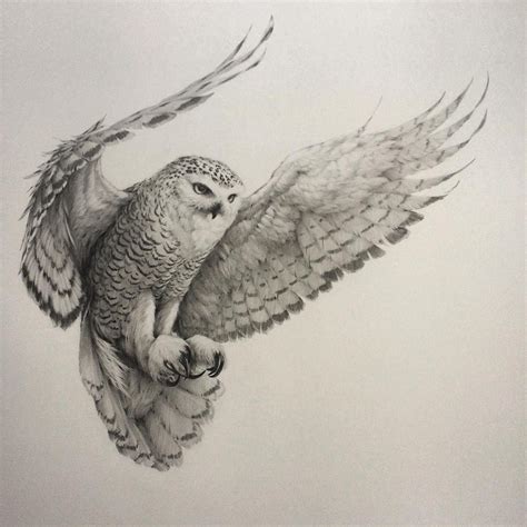 @vanessafoley on Instagram: “It's 'owl' over bar the hooting! I've ...