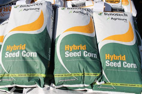 Corn Seed - Roundup Ready Bt - Specialty Seed