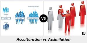 Assimilation vs. Acculturation: Definitions, Examples, Types & More