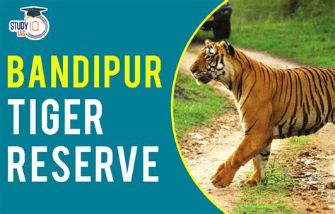 Bandipur Tiger Reserve Map, Flora, Fauna, Significance