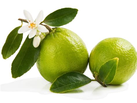 How To Fix Lime Tree Blossom And Fruit Drop