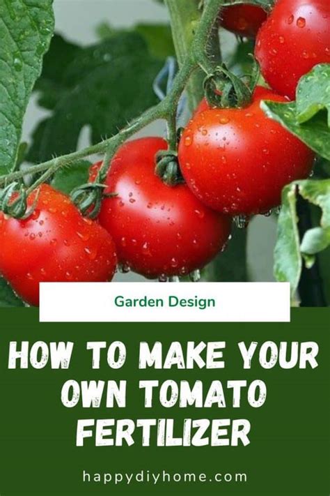 How to Make Your Own Tomato Fertilizer | Happy DIY Home