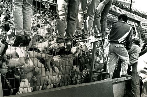 Hillsborough Disaster Dead Bodies : The Horror Of Heysel Football S ...