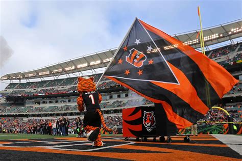 NFL fans don’t like the Bengals’ logo. Here’s how it can be improved ...