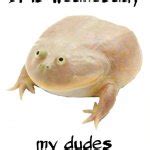 wednesday frog Meme Generator - Imgflip