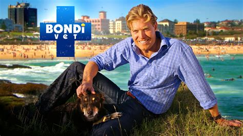 bondi vet | Chris brown shirtless, Dr chris brown, Vets