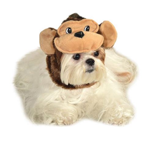 Monkey Hat Dog Costume | BaxterBoo