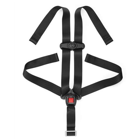 NextFit Convertible Car Seat 5-Point Harness With Chest Clip | lupon.gov.ph