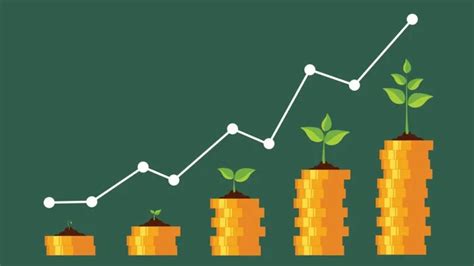 What is a money market fund?