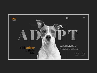 Pet Adoption Website Design designs, themes, templates and downloadable graphic elements on Dribbble