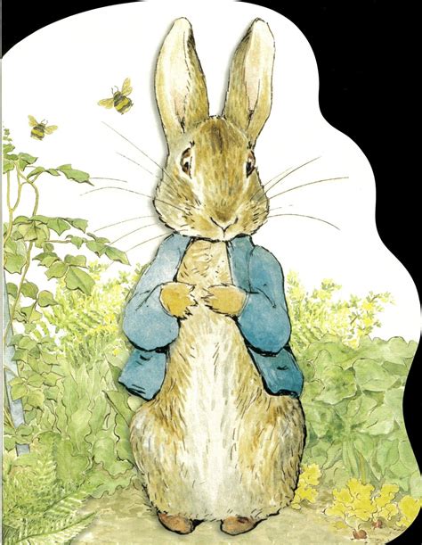 Peter Rabbit ~ Paperback in 2020 | Peter rabbit nursery, Peter rabbit and friends