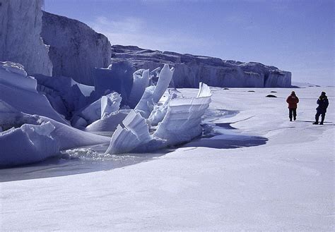 Gallery For > Ice Sheet Glaciers