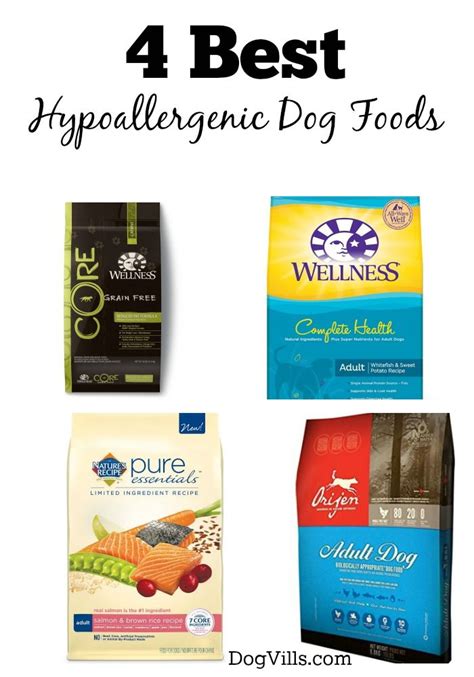 4 Best Hypoallergenic Dog Foods - DogVills | Hypoallergenic dog food ...