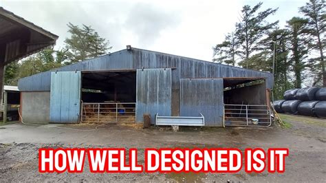 LAYOUT AND DESIGN OF OUR CATTLE SHED - YouTube