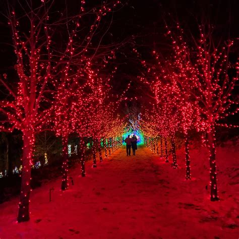 Winterlights at Naumkeag [11/29/24]