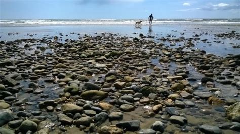 Tramore Beach | | UPDATED November 2020 Top Tips Before You Go (with Photos) - Tripadvisor