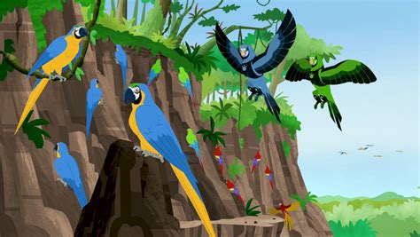 Parrot Power (episode) | Wild Kratts Wiki | Fandom