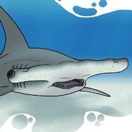 Shark Week 2020: Day 04 - Great Hammerhead by RileyTNT on Newgrounds