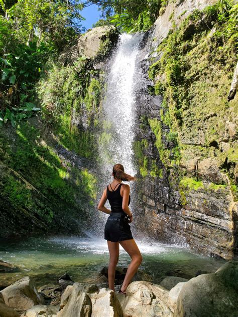 El Yunque Wildlife