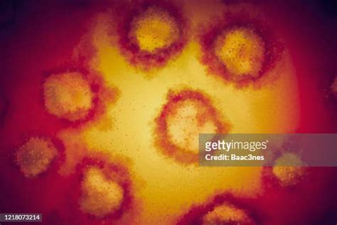 Abstract Red Blood Cells Photos et images de collection - Getty Images