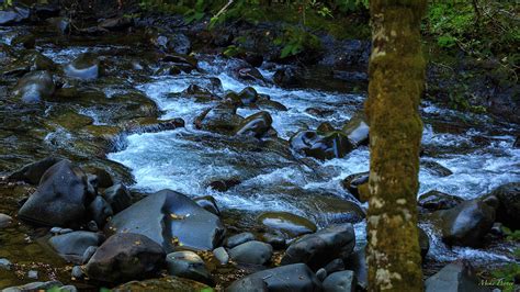 Sol Duc River 10-22-03 Photograph by Mike Penney - Fine Art America