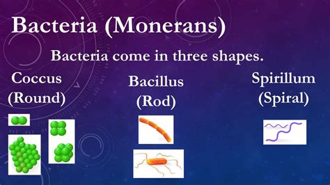 Characteristics of Microorganisms. Characteristics of Microorganisms. - ppt download