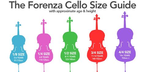 Size Guide for Violins, Violas and Cellos | Normans Blog