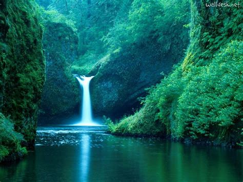 Oregon.... Oh The Places Youll Go, Places To See, Places To Travel, Beautiful World, Beautiful ...